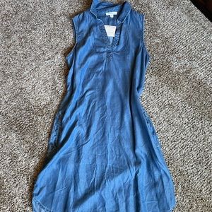 Chambray Dress